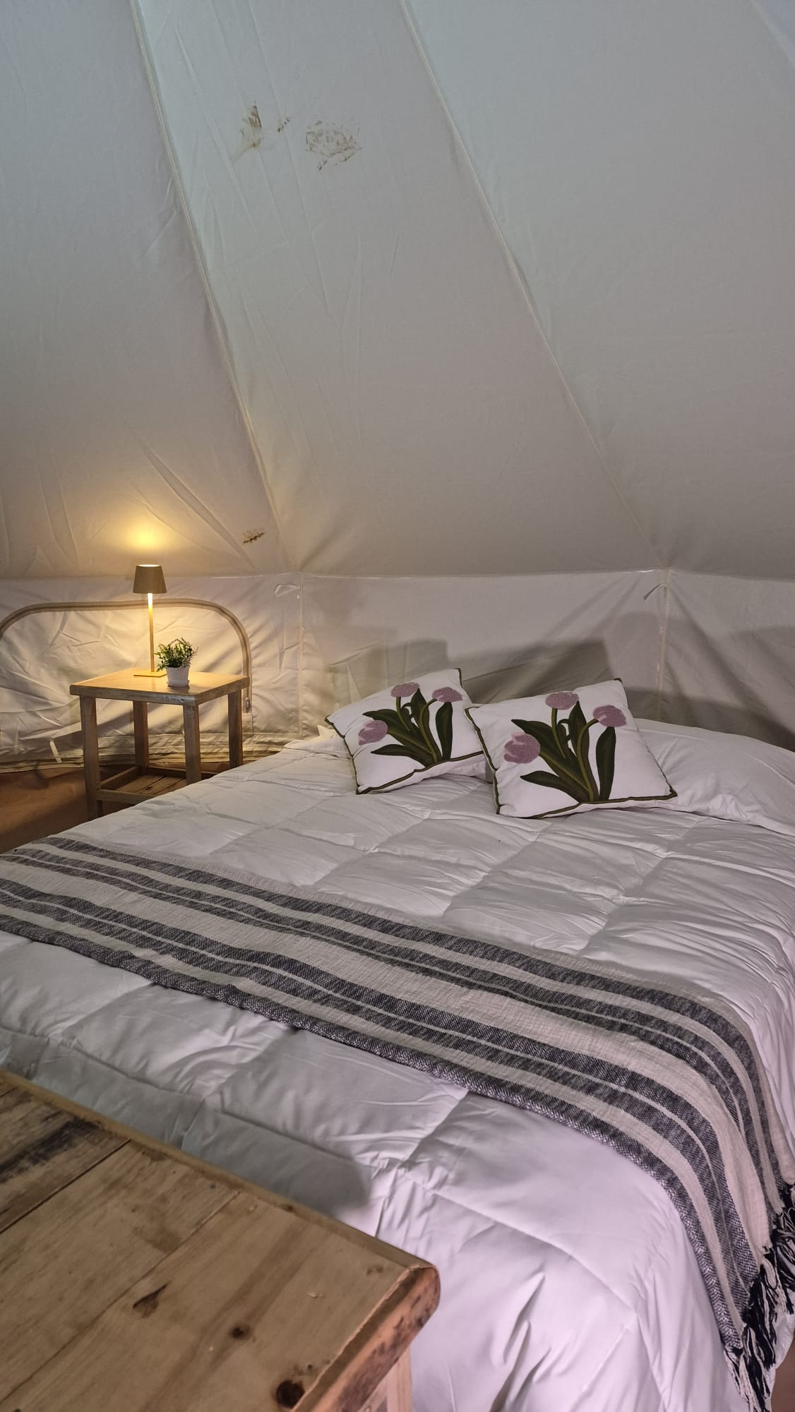 Cama dentro de una bell tent con luz calida