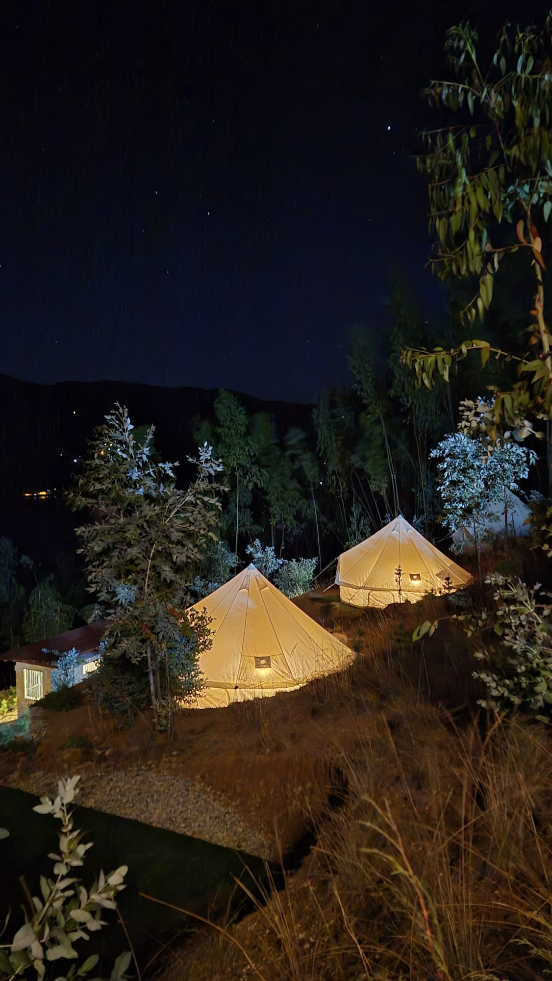 Bell tents iluminadas bajo el cielo estrellado