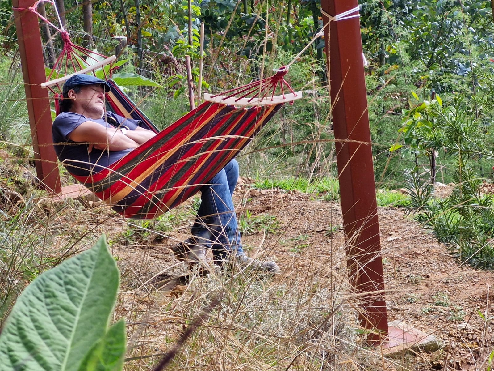 Hamaca en una zona natural de descanso