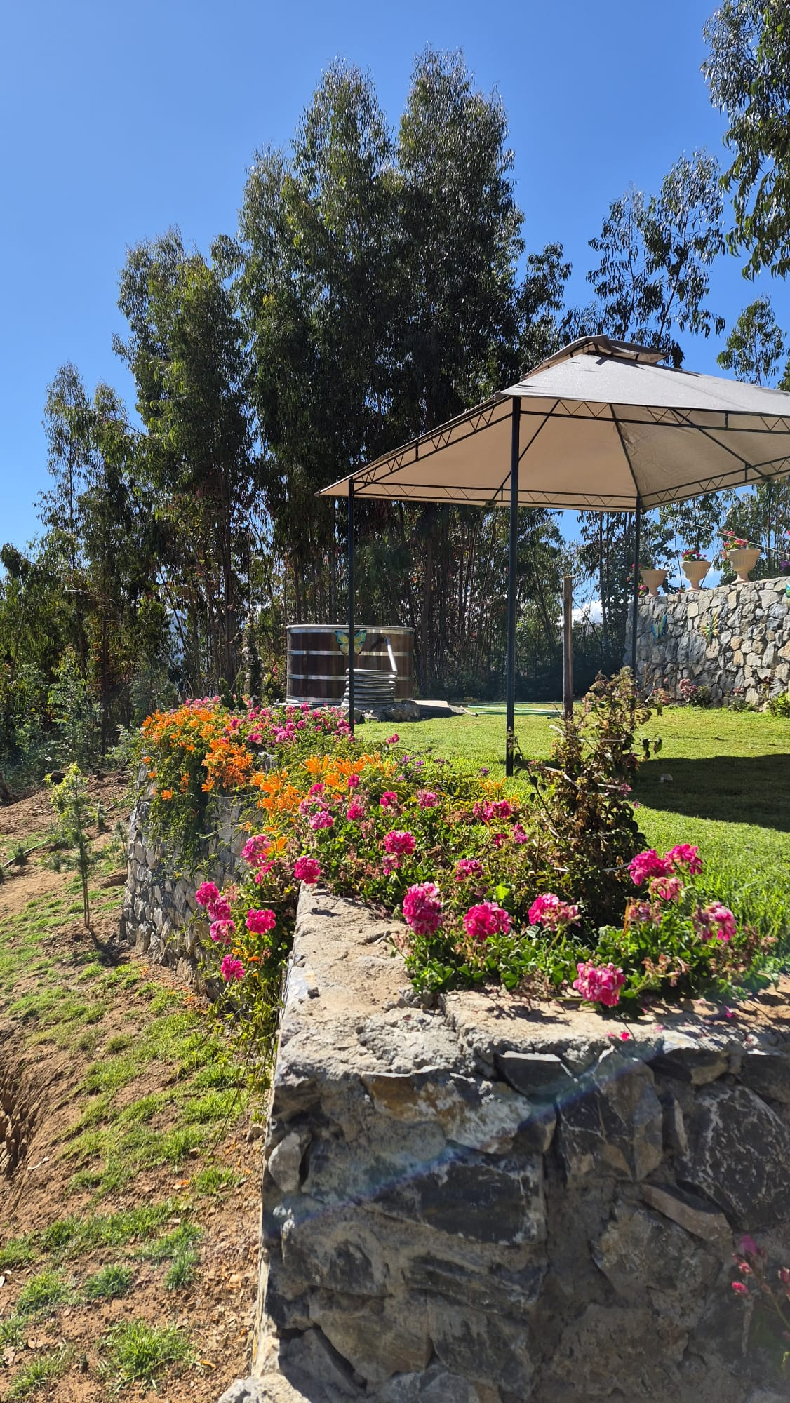 Jardin con flores, sombrilla y tina al aire libre