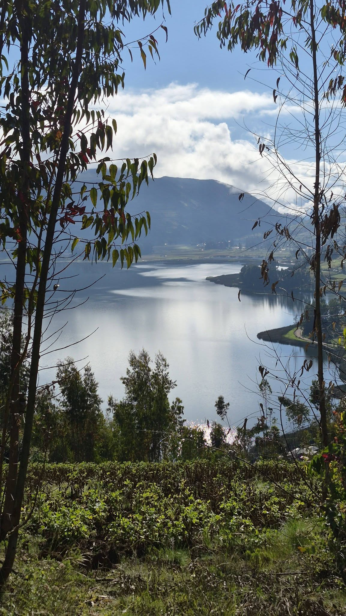 Laguna de Pacucha vista entre arboles y montanas